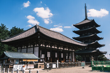A park rich in nature located in the center of Nara【Nara Park】