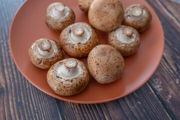 Collection of fresh Edible Mushrooms ready to cook