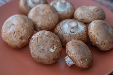 Fototapeta na wymiar Collection of fresh Edible Mushrooms ready to cook