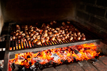 Fresh chestnuts are baked on hot coals on a grill in the oven