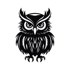 Black and white owl illustration with big eyes