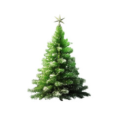 Christmas tree transparent png or isolated.