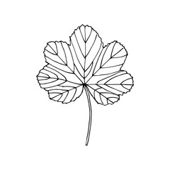 Black and white  decorative leaves. Openwork, carved leaf.  Hand-draw vector illustration for your design.  