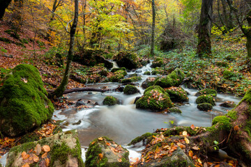 Scène automnale: la cascade de Brisecou en Bourgogne près d'autun dans la forêt aux couleurs de...