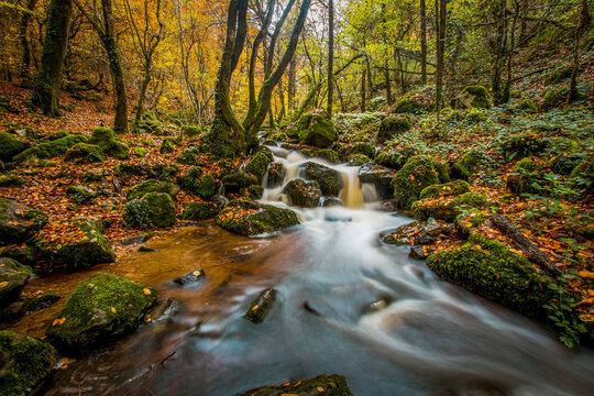 Scène automnale: la cascade de Brisecou en Bourgogne près d'autun dans la forêt aux couleurs de l'automne