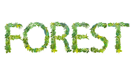 word of forest made from various kinds of leaves isolated on transparent background, suitable for template go green concept, PNG