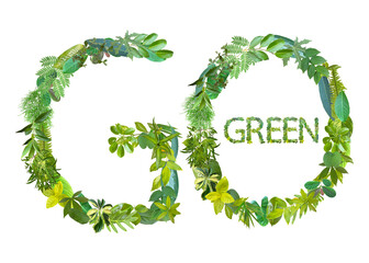 word or symbol of Go Green made from various kinds of leaves isolated on transparent background, suitable for template go green concept, PNG