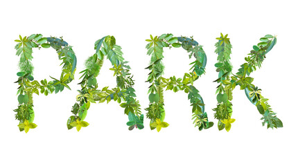 word of PARK made from various kinds of leaves isolated on transparent background, suitable for template go green concept, PNG