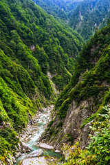 Fototapeta na wymiar 黒部渓谷、山の緑と流れる川が美しい