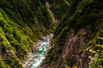 富山県、黒部渓谷、山の緑と流れる川が美しい
