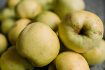 A lot of green apples lie on the surface. Harvest from your own garden. Some apples are fresh, some are already rotten, with traces of impact. Preparations for the winter, making jam