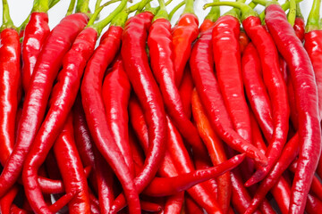 Red Chili Curly is one of the most widely grown and sold red chili varieties in Indonesia. Ingredient, including making chili sauce. Chili peppers (also chile, chile pepper, chilli pepper, or chilli).