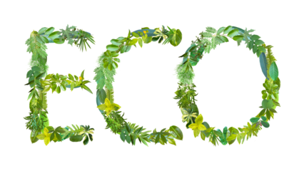 word of ECO made from various kinds of leaves isolated on transparent background, suitable for template go green concept, PNG