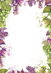Watercolor frame or background with bunches of purple and green grapes