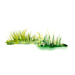 Watercolor aquarelle drawing set of easter spring grass dark and light green. Scillfully painted illustration of early growth isolated on white background. For wallpapers, logo, banners, icon, cards