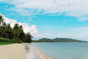 Beautiful tropical island beach, blue sky and palm trees - Thailand