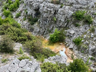 The river Bijela voda or Bijeli Stream in a rugged canyon at the foot of the Przun hill, Karin Gornji - Croatia (Rijeka Bijela voda ili Bijeli potok u krševitom kanjonu podno brda Pržun - Hrvatska) - obrazy, fototapety, plakaty
