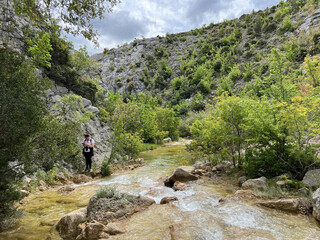 The river Bijela voda or Bijeli Stream in a rugged canyon at the foot of the Przun hill, Karin Gornji - Croatia (Rijeka Bijela voda ili Bijeli potok u krševitom kanjonu podno brda Pržun - Hrvatska) - obrazy, fototapety, plakaty