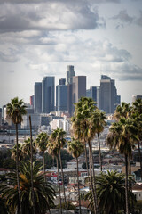 Obraz premium California urban カリフォルニア