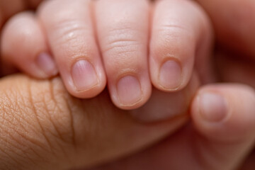 Macro shot of an infant's hand holding his mother's fingers. Beautiful picture of a baby palm squeezing her mother's finger. Family and parenthood concept.