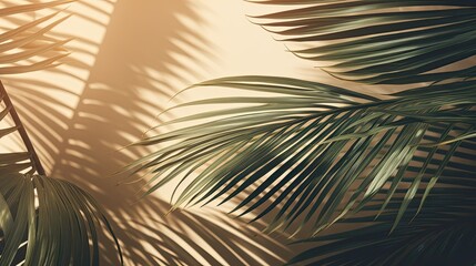Natural background with palm leaves shadow