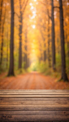 Naklejka na ściany i meble empty wood desk with blurred background of autumn forest