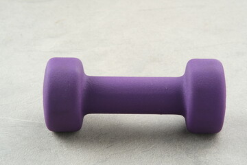 Purple colored rubber dumbbell for the gym
