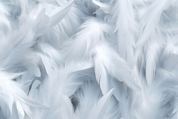A solid background of white feathers. Texture of fluffy feathers