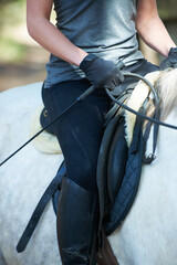 Saddle, horse riding or woman in countryside outdoor with rider or jockey for recreation or wellness. Exercise, hands or closeup of athlete with a healthy pet animal for training or support on farm