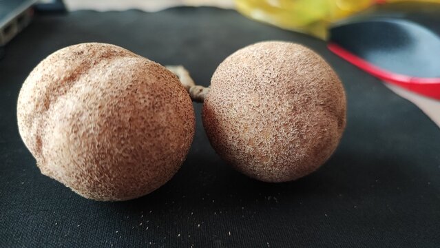 Baccurea Macrocarpa, also known as a donkey, is a kind of fruit plants originating from Southeast Asia