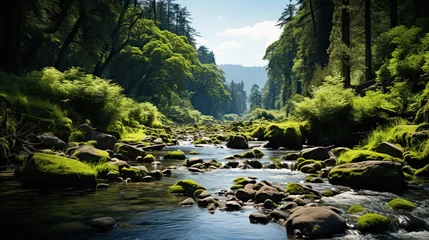Fotobehang river in the forest © faiz
