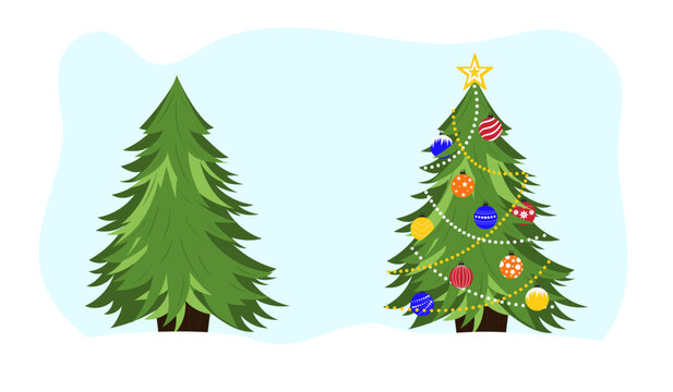 Christmas tree without decorations and with decorations. Vector illustration in cartoon style. 
