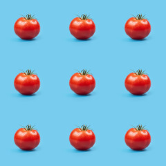 Organic natural Tomato vegetable seamless photo pattern on a solid color background