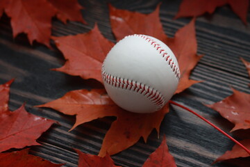 White baseball on red maple leaves. Red maple leaves and white baseball on wooden table.