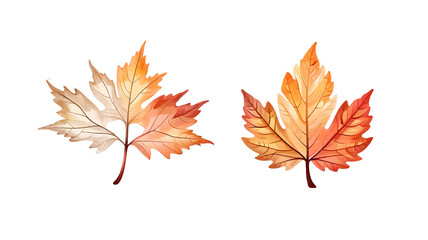 Fototapeta premium Warm color tree leaf png, transparent background. 