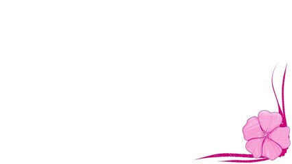 pink line on white background with sakura flower