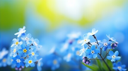 forget me not flower and nature spring with sunlight, blurred background