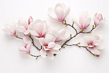 Zelfklevend Fotobehang magnolia with branch on white background  © arjan_ard_studio