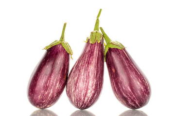 Fototapeta premium Three organic ripe eggplants, macro, isolated on white background.