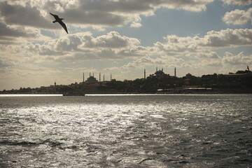 Fototapeta na wymiar Istanbuls most popular buildings seen from bosporus