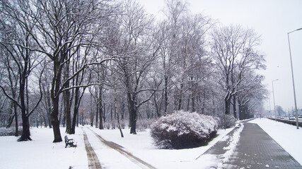 Winter scene in Park Zachodni, Wroclaw, Poland, with snow-covered trees lining Lotnicza Street. A tranquil bench awaits amidst the pristine white landscape.