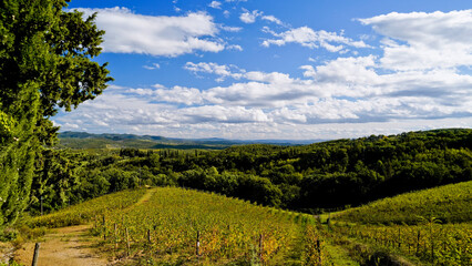 Obraz premium Le colline e i vigneti attorno al borgo di Vagliagli . Panorama autunnale. Chianti, Toscana. Italia