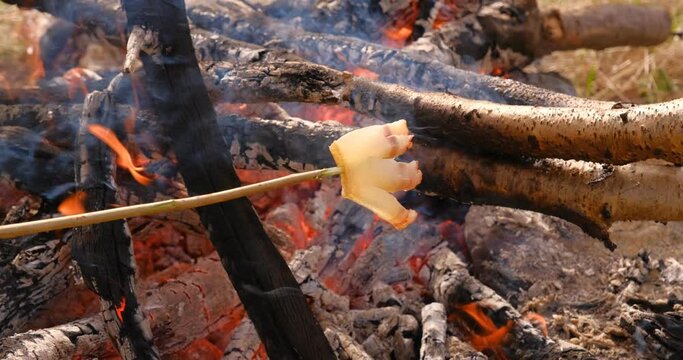 fried bacon on stick an open fire in nature, slanina,traditional food in Romania, slow motion