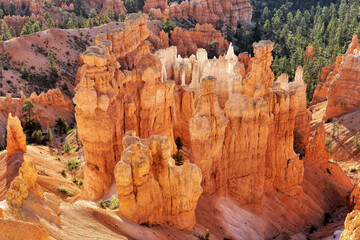 Fairytale landscape of glowing rock towers in the American Bryce Canyon.