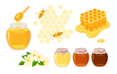 Honey set. Bees, honeycomb, flowers, honey in glass jar and dripping honey from wooden dipper. Vector cartoon flat illustration.