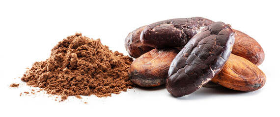 Cocoa beans and cocoa powder close-up on white background.