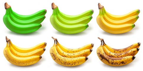 Set of banana bunches in different ripening stages isolated on white background. Food concept.