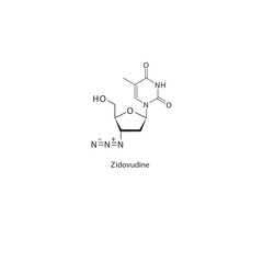 Zidovudine  flat skeletal molecular structure Reverse-transcriptase inhibitor drug used in HIV treatment. Vector illustration scientific diagram.
