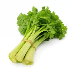 bunch of fresh celery isolated on white background