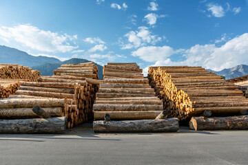 Holzindustrie Lagerplatz geschälte Baumstämme gestapeltes Schichtholz frontal vor Gebirge –...